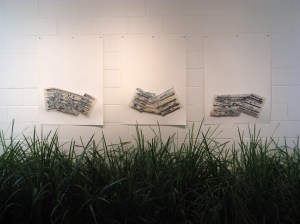 Big Garden at Logan 3 web