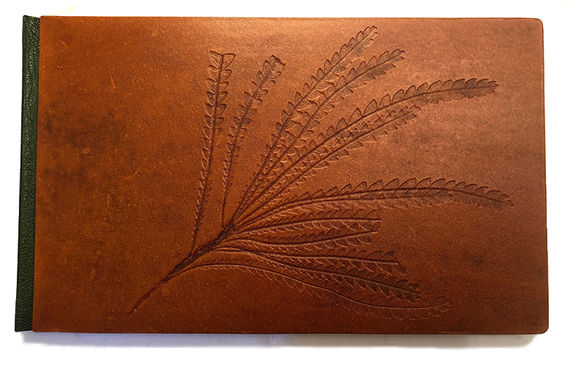 garden-book-hakea-smaller-web